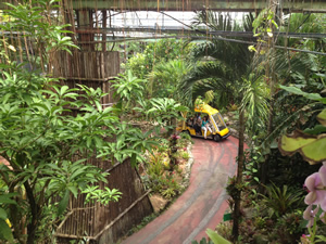 Pineapple Park
